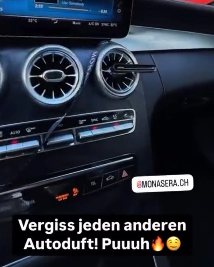Monasera im Auto eines Kunden