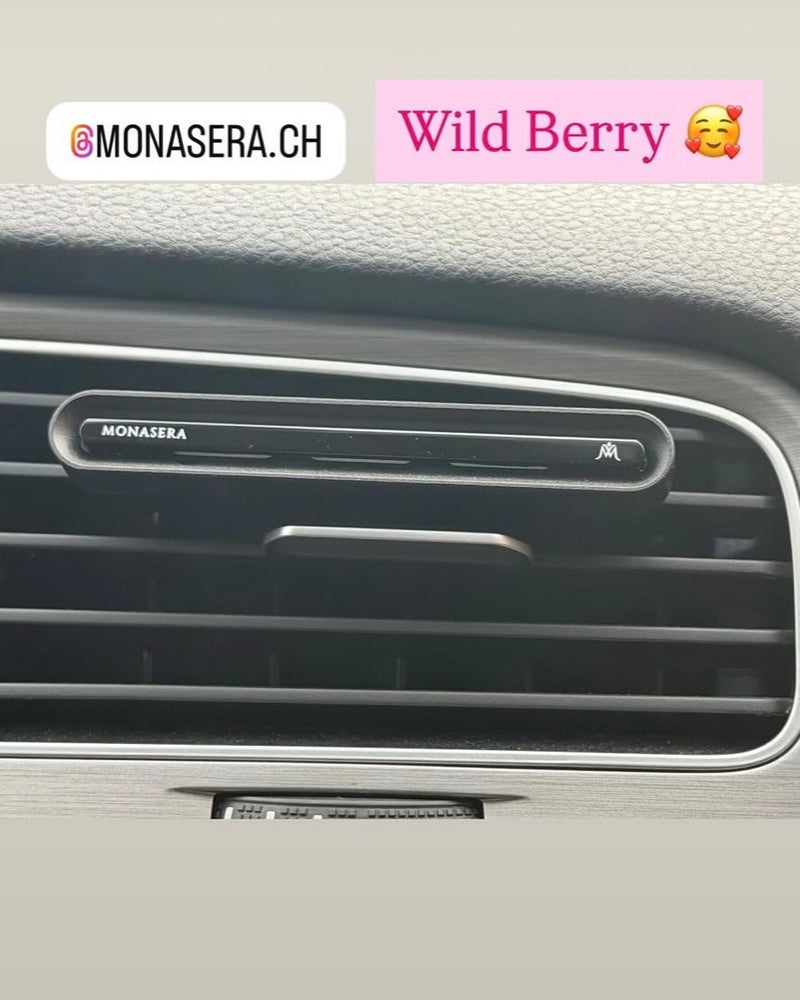 Monasera im Auto eines Kunden