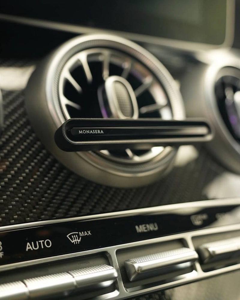 Monasera im Auto eines Kunden