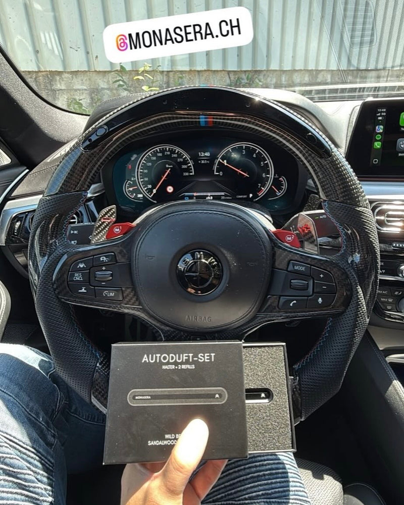 Monasera im Auto eines Kunden