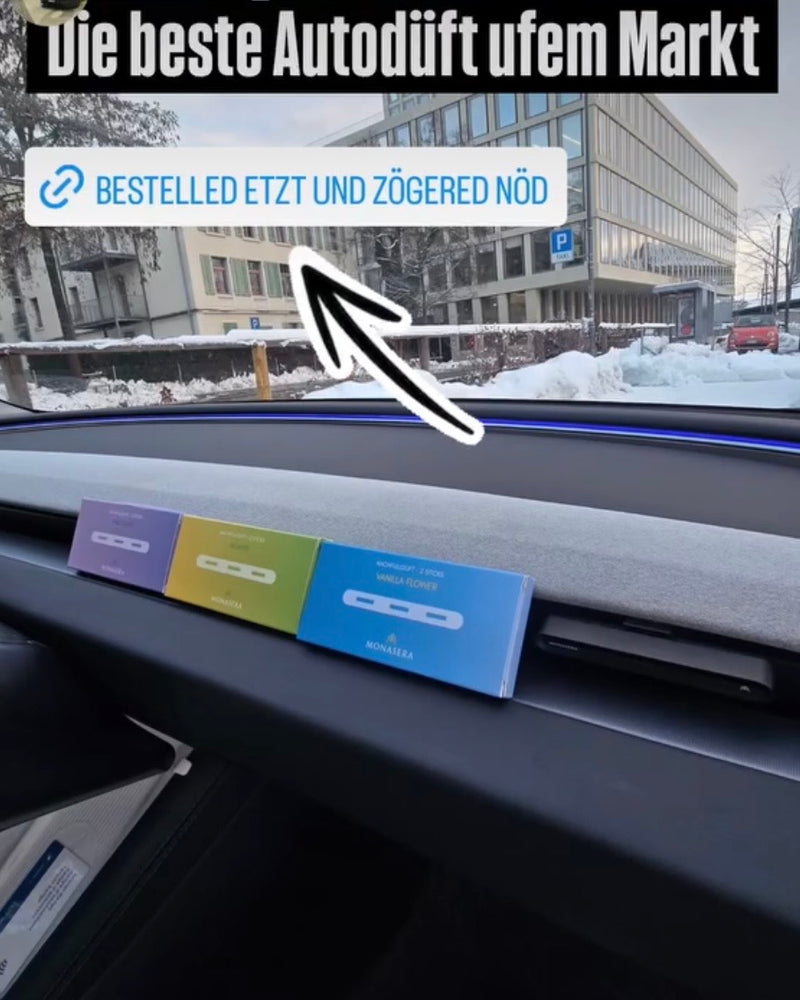 Monasera im Auto eines Kunden