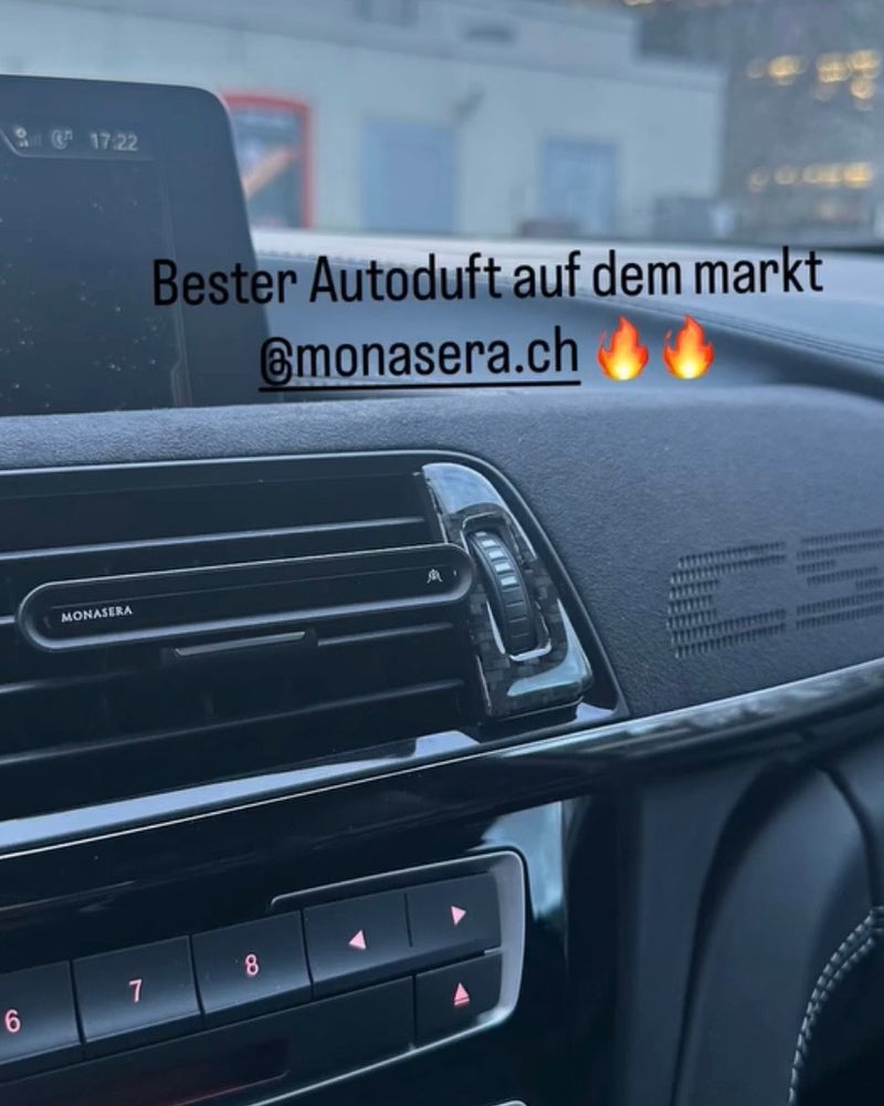 Monasera im Auto eines Kunden