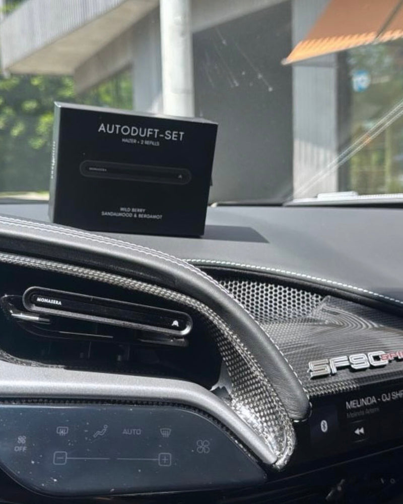 Monasera im Auto eines Kunden